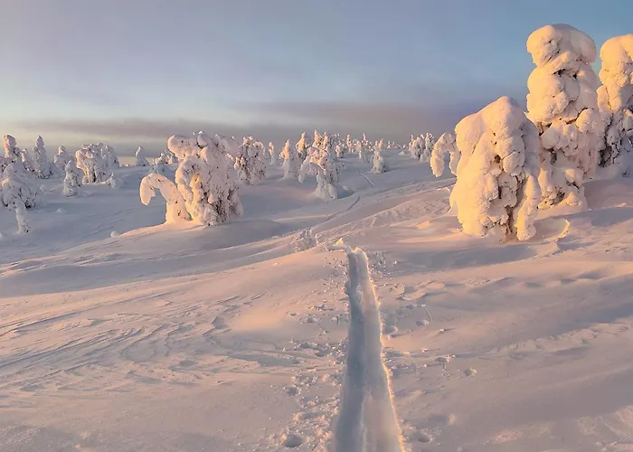 Rantaruka 4 D2 Korpikelo 아파트